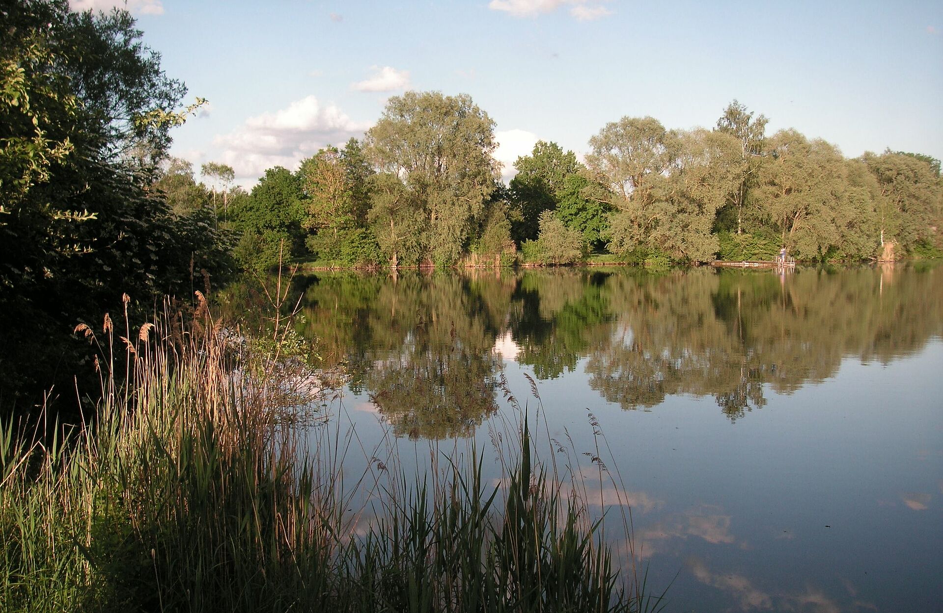 Babenhausen BUND Naturschutz in Bayern e.V.