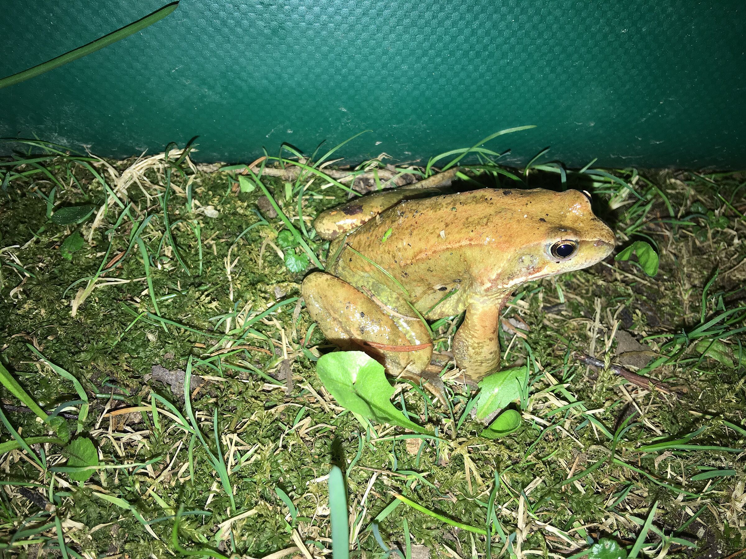 Fotos: Elisabeth Siebierski