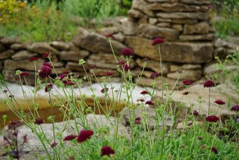 Der Weg Zum Drei Zonen Garten Eine Oase Des Lebens Bund
