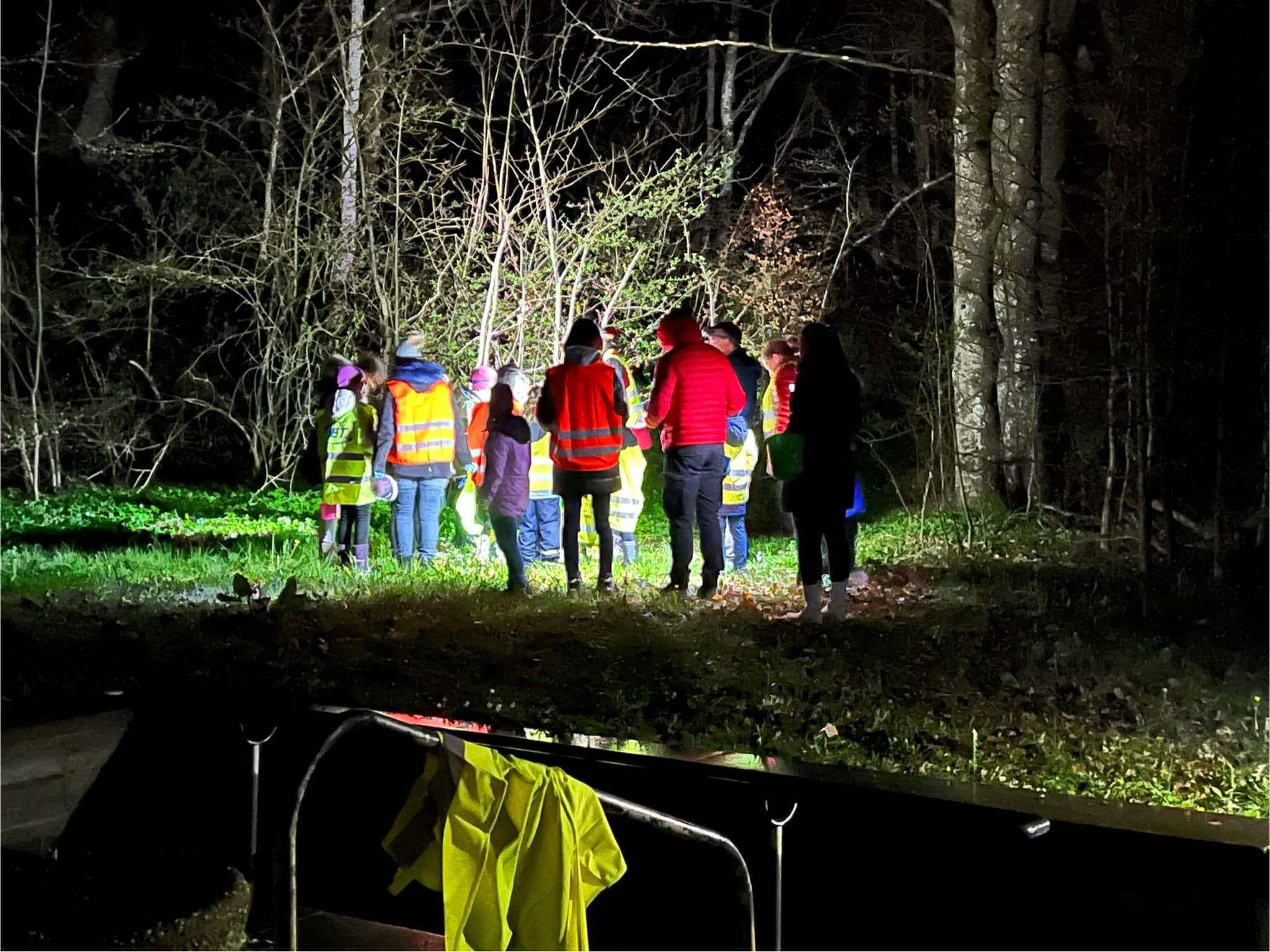 Amphibienrettung in Dorschhausen 5.4.24