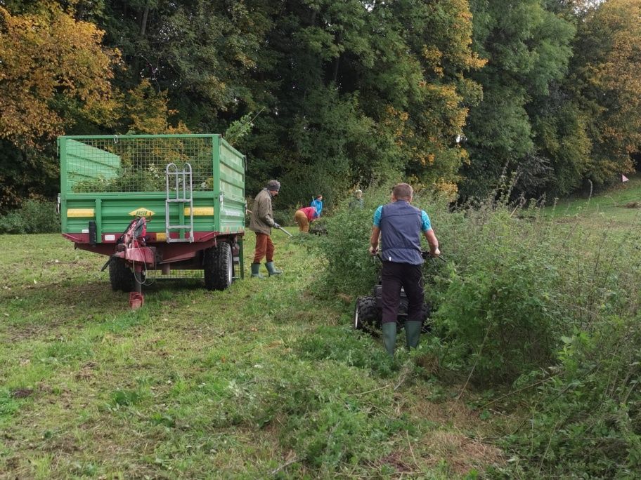 Fleißige Helfer des BN mähen schonend das hohe Gras